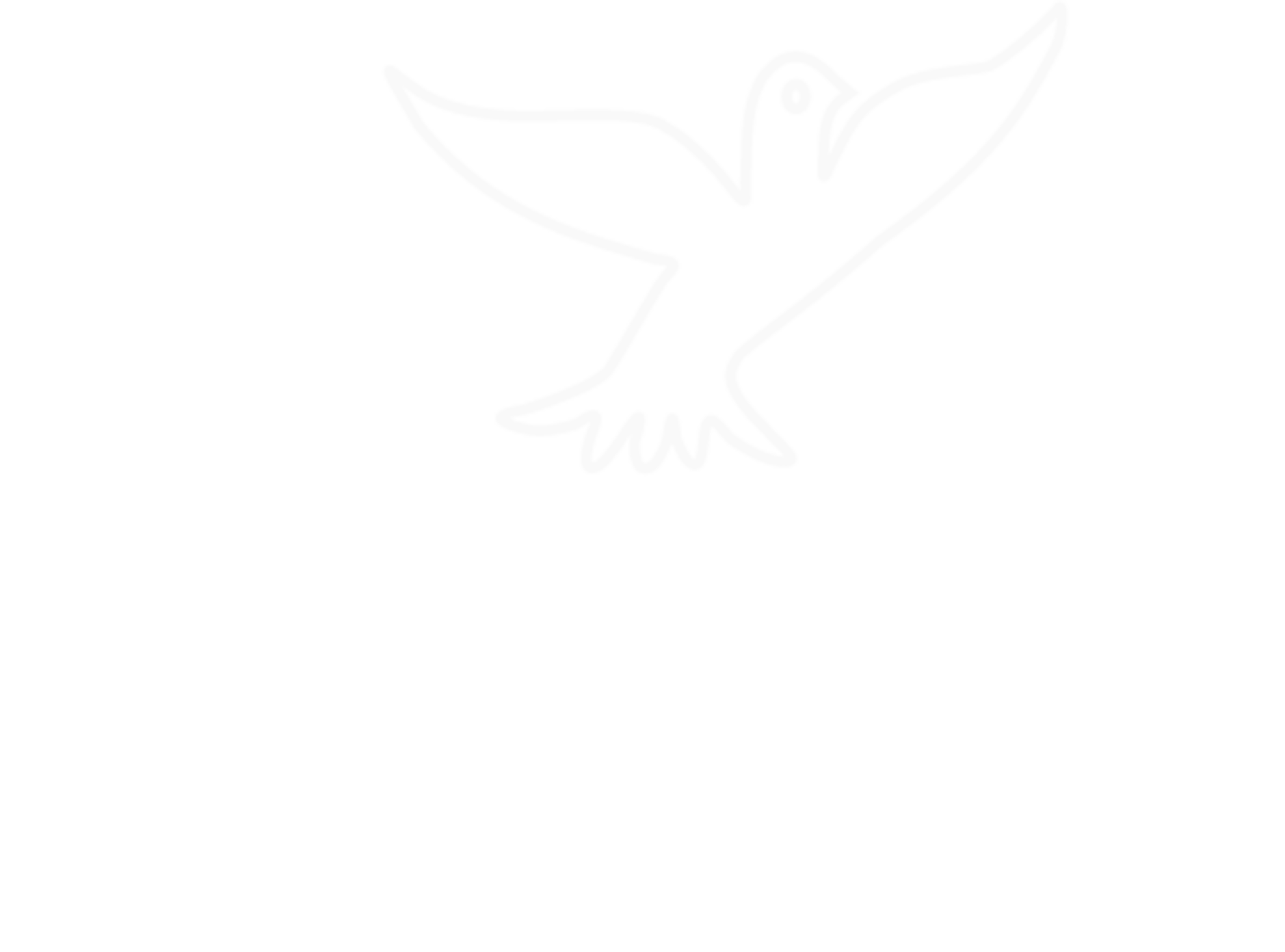 Logo Elvicart